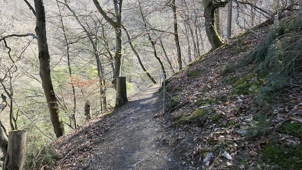 Saar Hunsrueck Steig