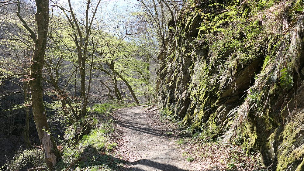 Saar Hunsrueck Steig