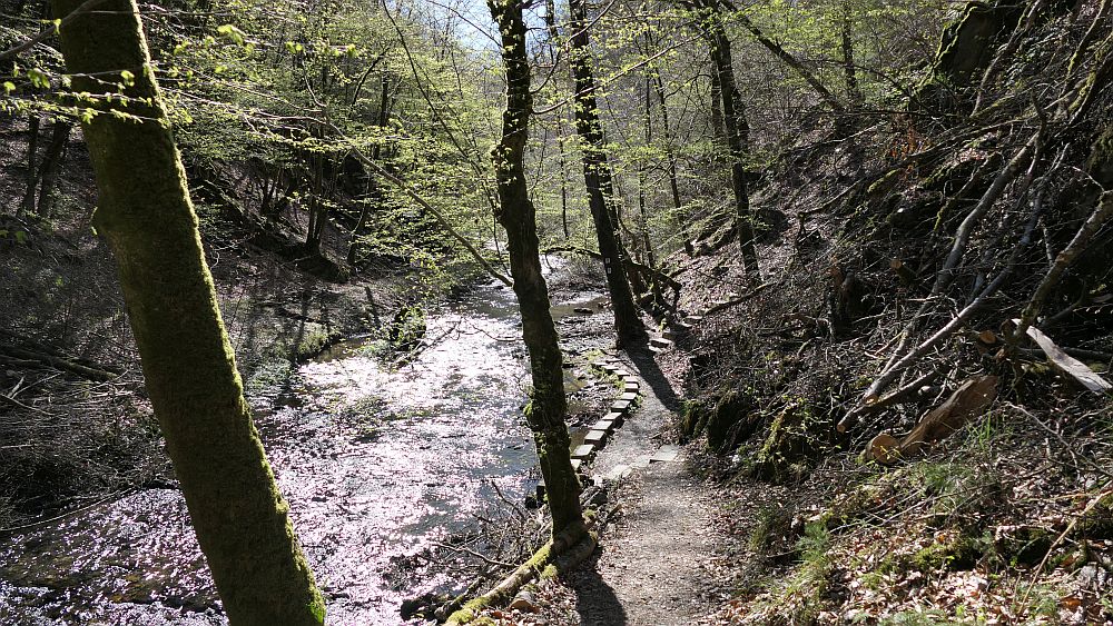 Saar Hunsrueck Steig