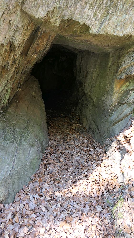 Saar Hunsrueck Steig