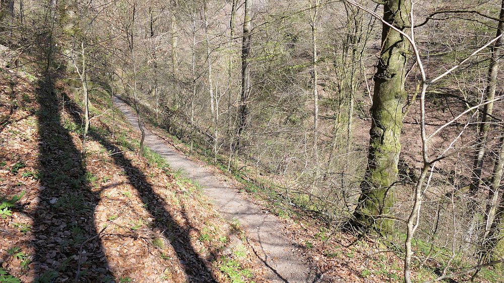 Saar Hunsrueck Steig