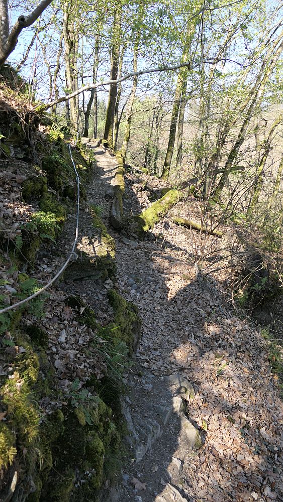 Saar Hunsrueck Steig