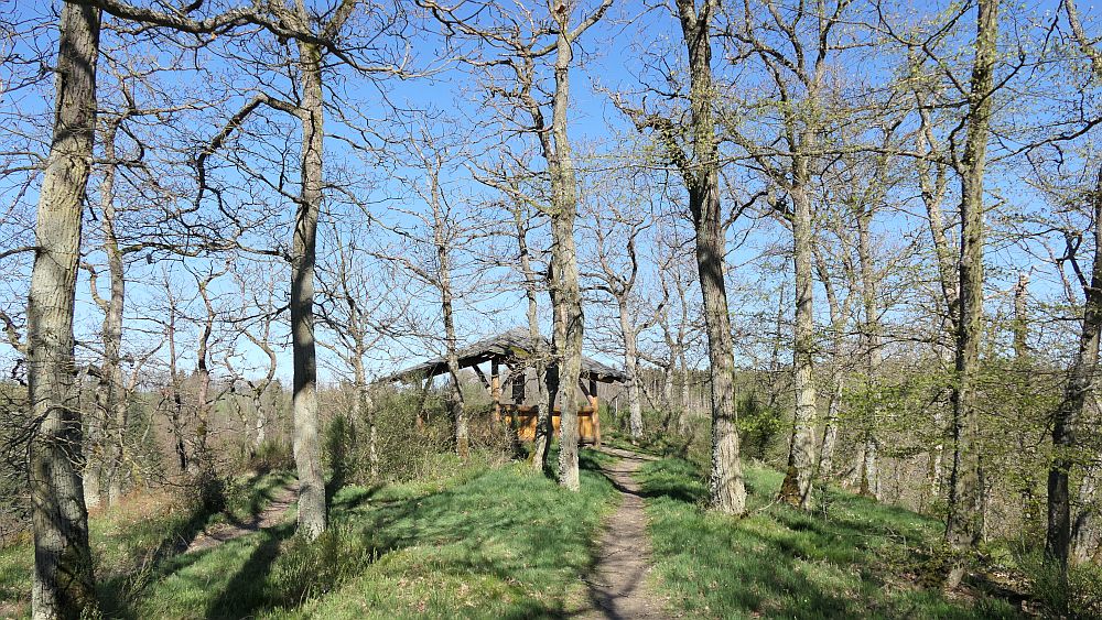 Saar Hunsrueck Steig