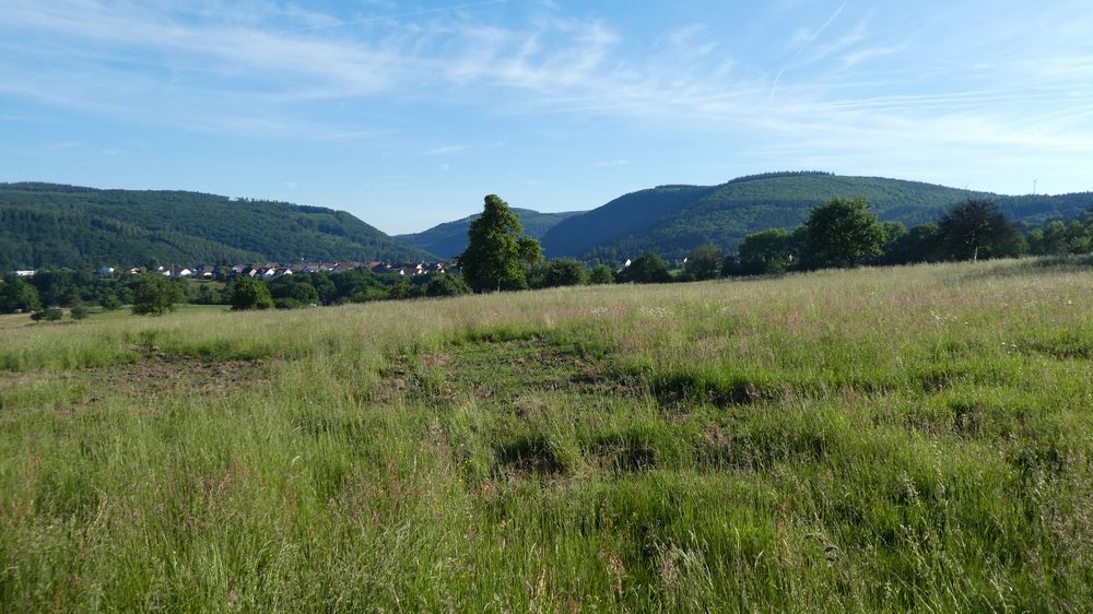 Saar Hunsrueck Steig