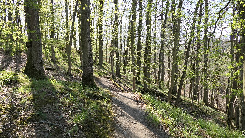 Saar Hunsrueck Steig