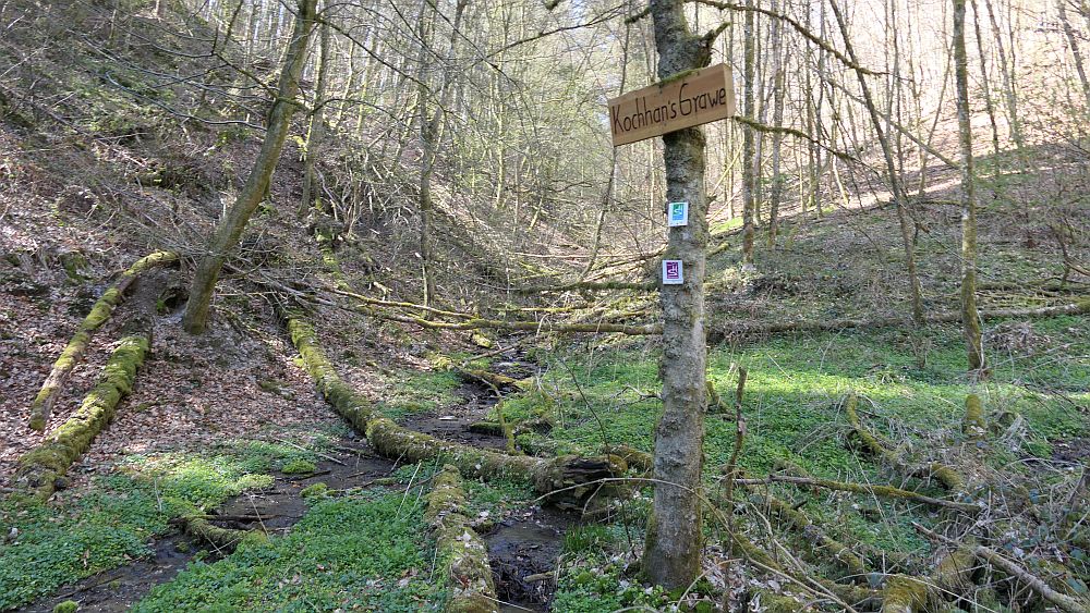 Saar Hunsrueck Steig