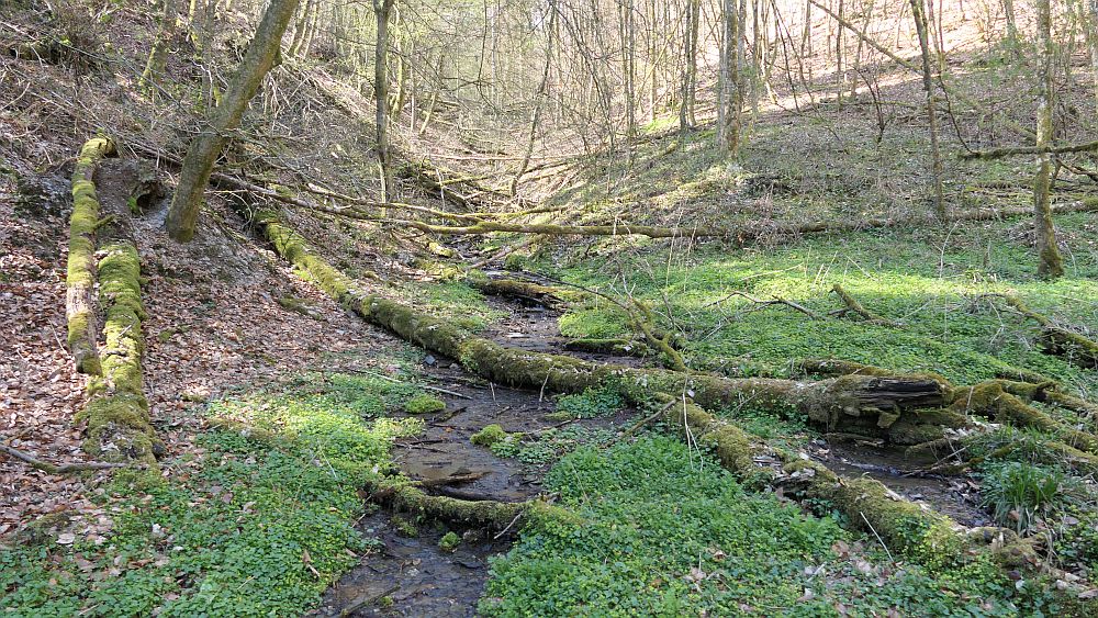 Saar Hunsrueck Steig