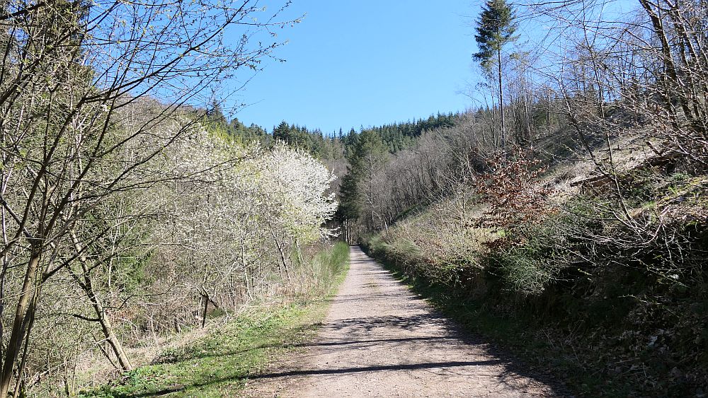 Saar Hunsrueck Steig