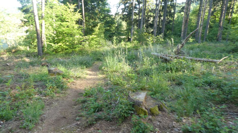 Saar Hunsrueck Steig