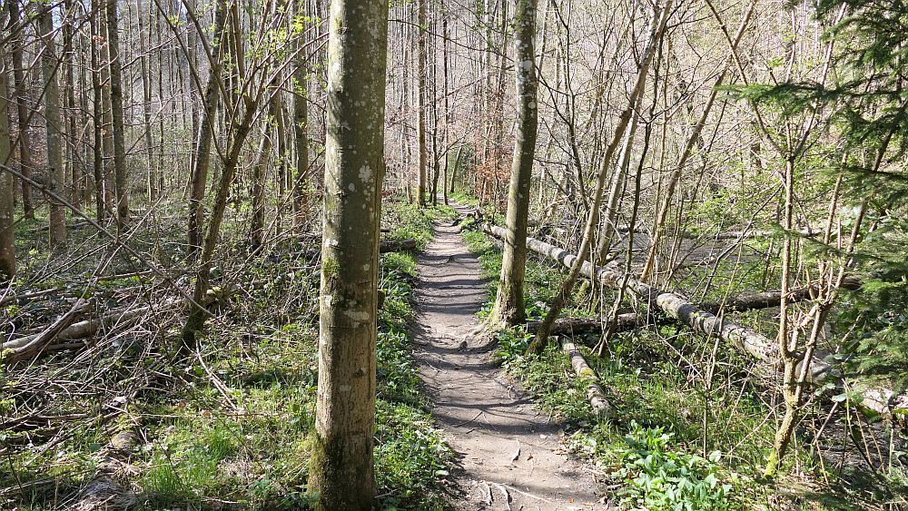 Saar Hunsrueck Steig