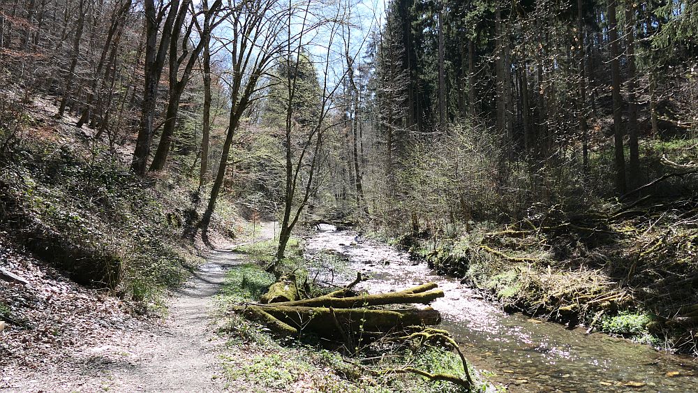 Saar Hunsrueck Steig