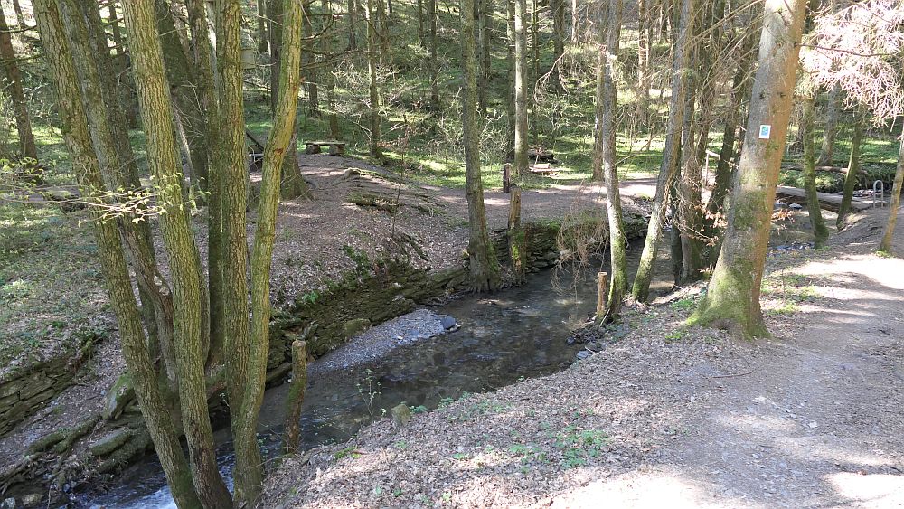Saar Hunsrueck Steig