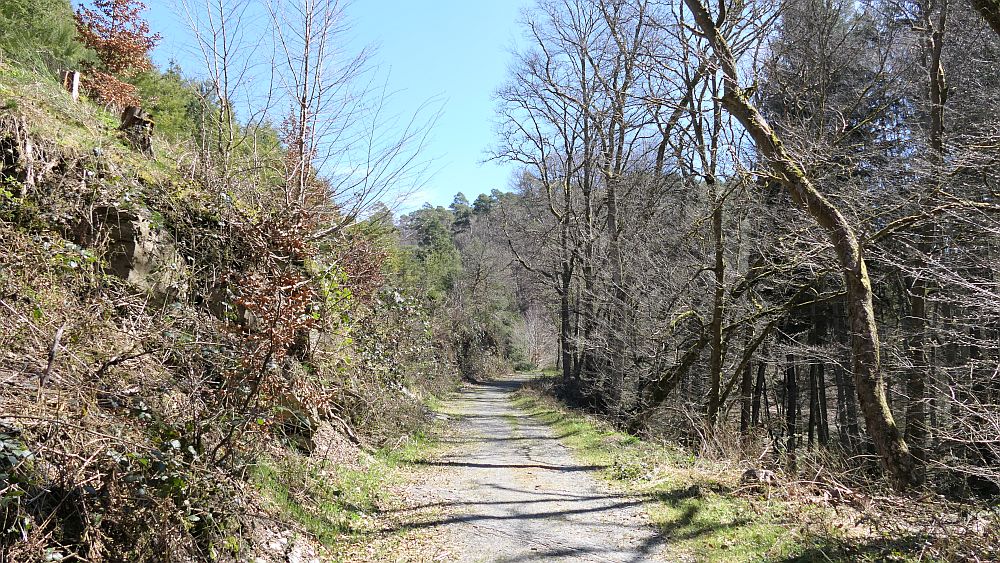 Saar Hunsrueck Steig