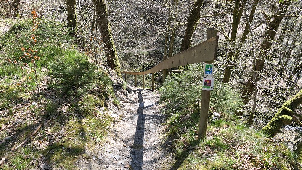 Saar Hunsrueck Steig
