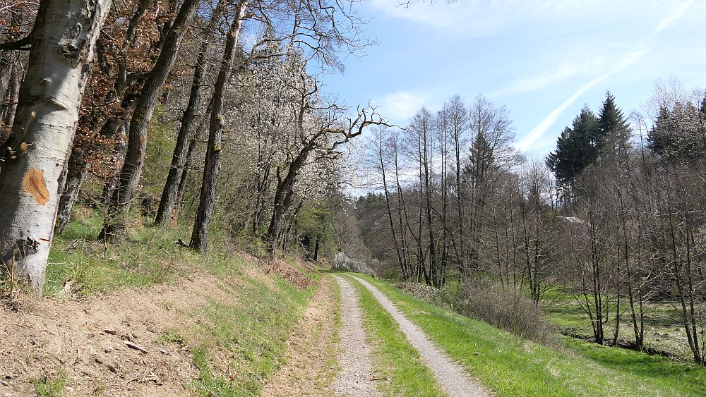 Saar Hunsrueck Steig