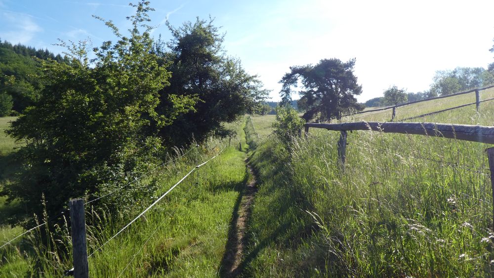 Saar Hunsrueck Steig