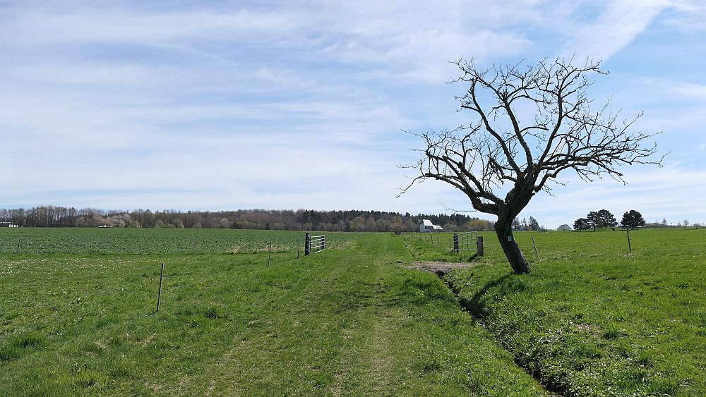 Saar Hunsrueck Steig