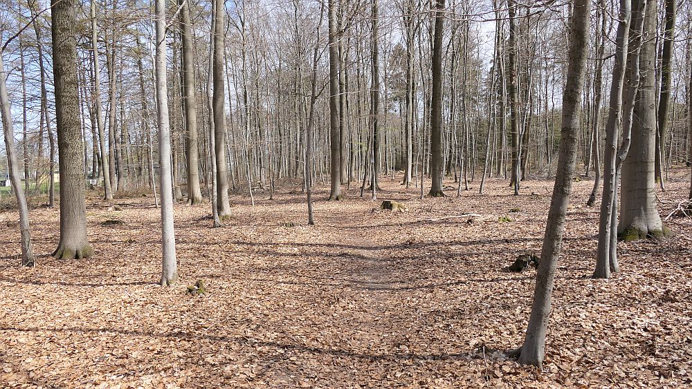 Saar Hunsrueck Steig