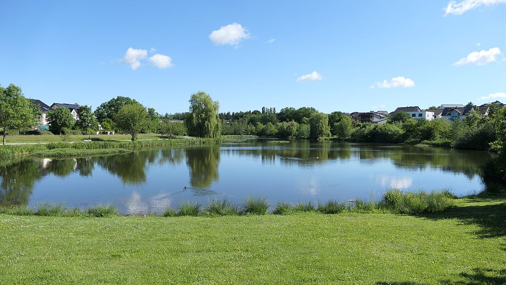 Saar Hunsrueck Steig