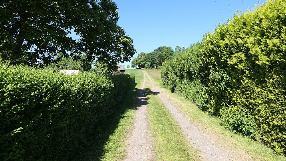 Saar Hunsrueck Steig