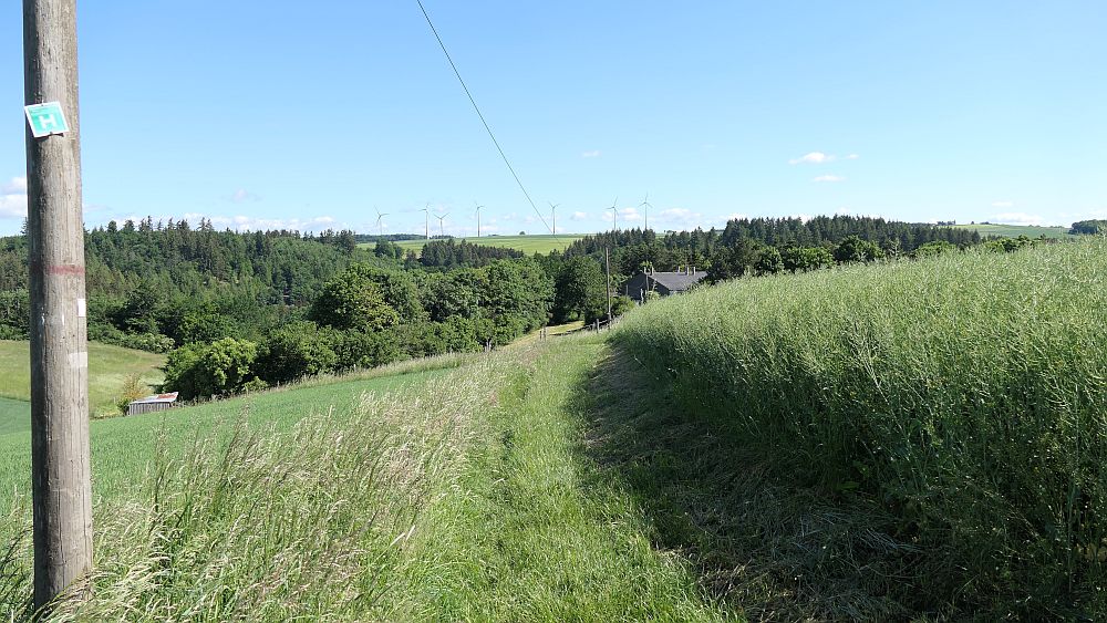 Saar Hunsrueck Steig