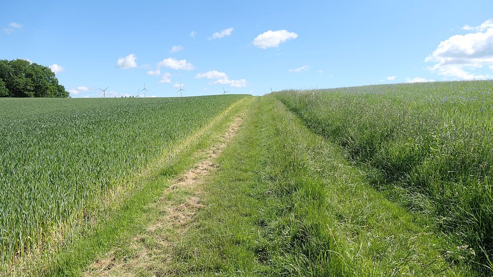 Saar Hunsrueck Steig