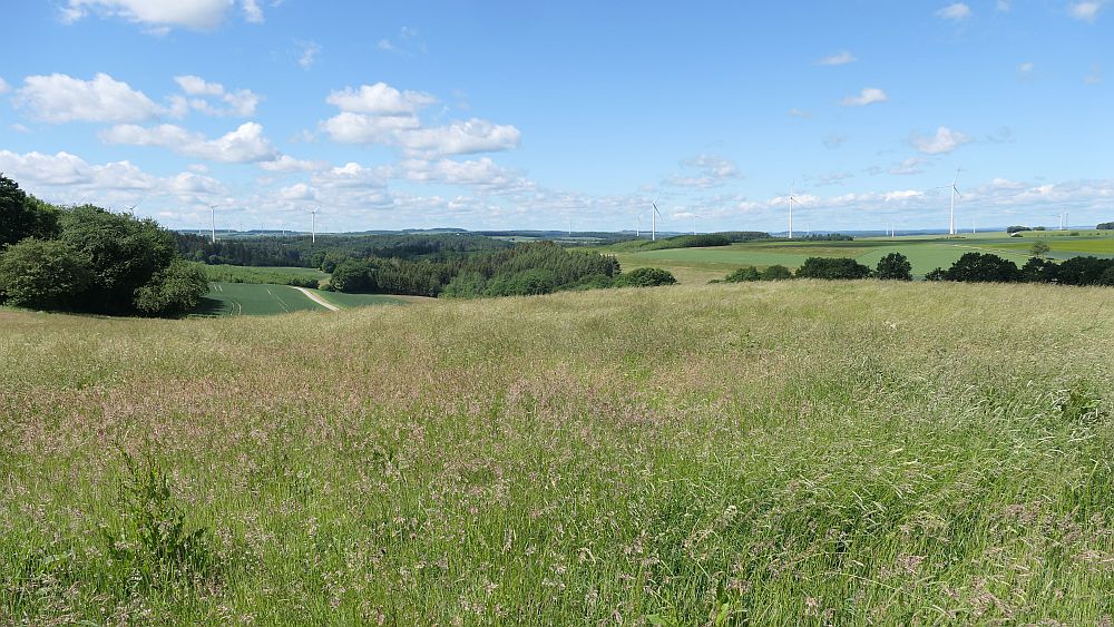 Saar Hunsrueck Steig