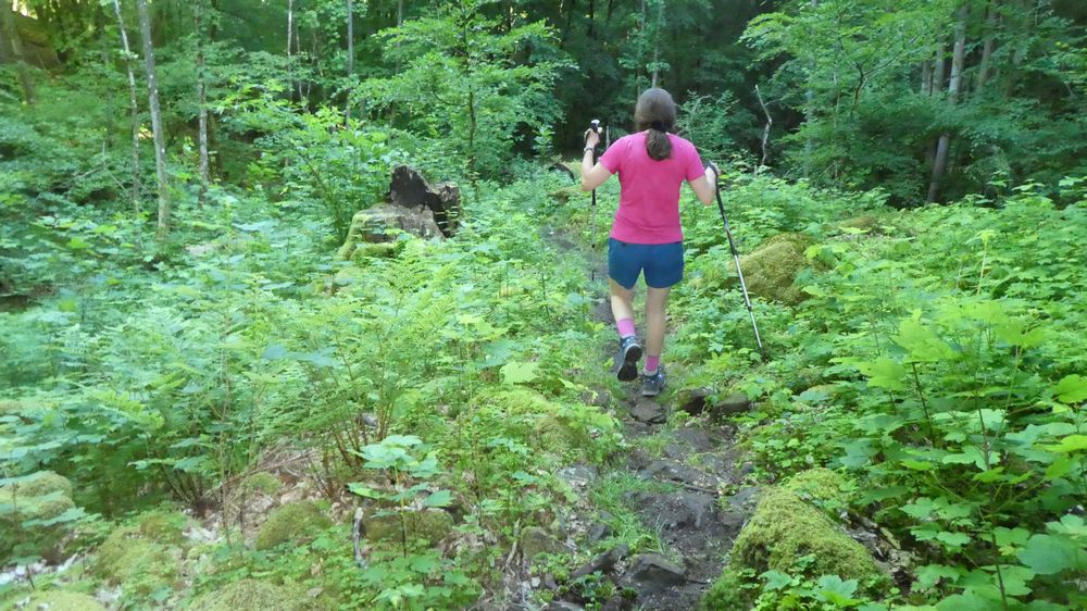 Saar Hunsrueck Steig