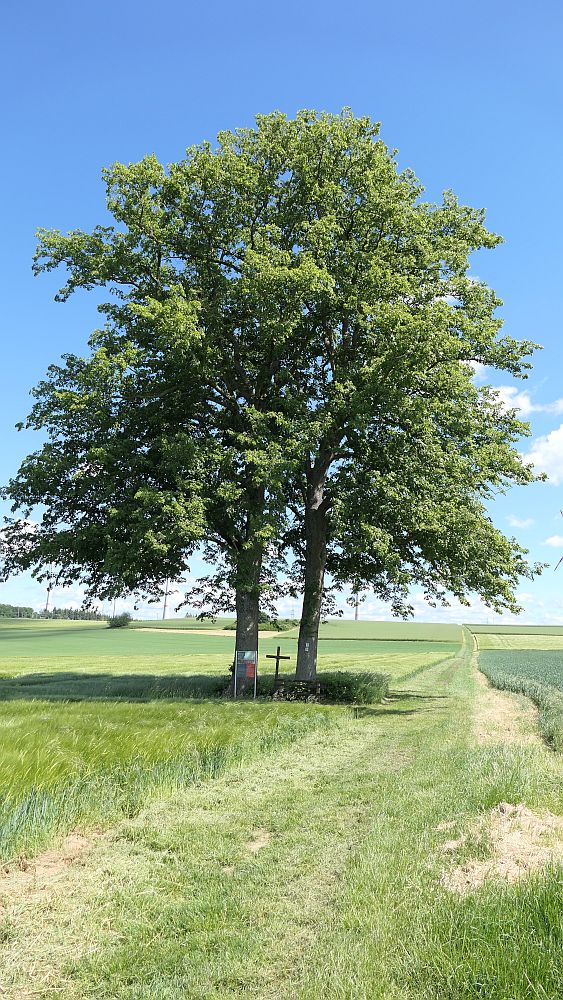 Saar Hunsrueck Steig