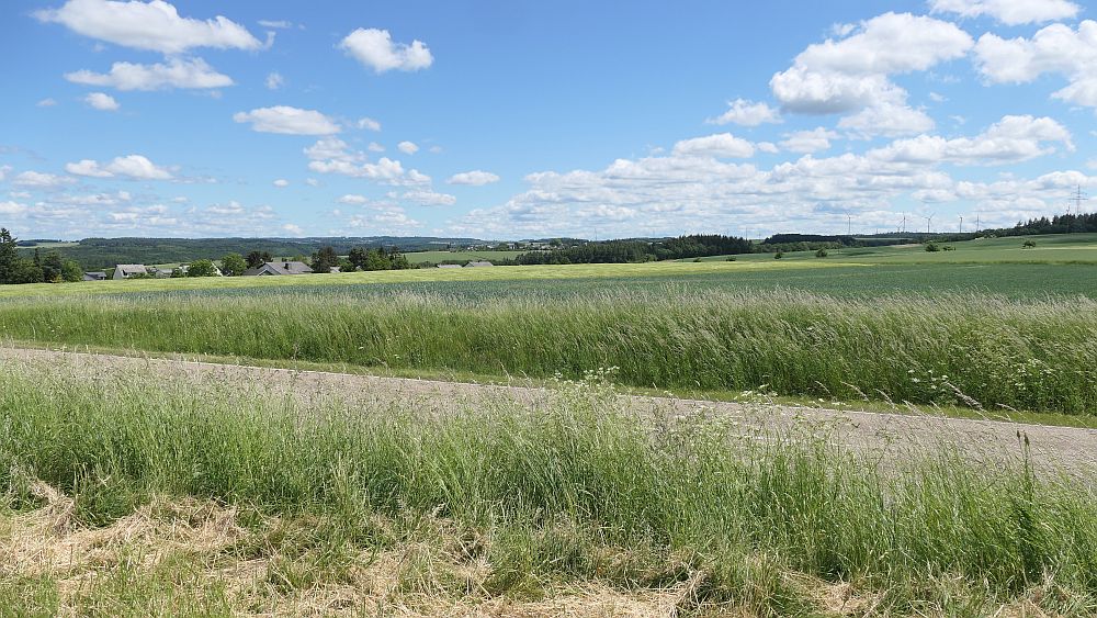Saar Hunsrueck Steig