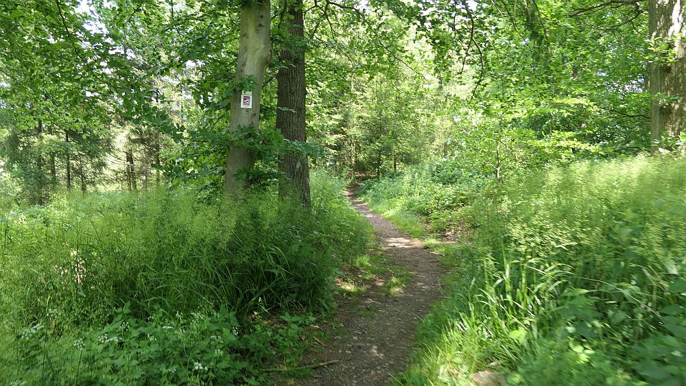 Saar Hunsrueck Steig
