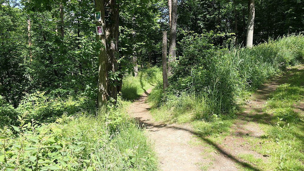 Saar Hunsrueck Steig