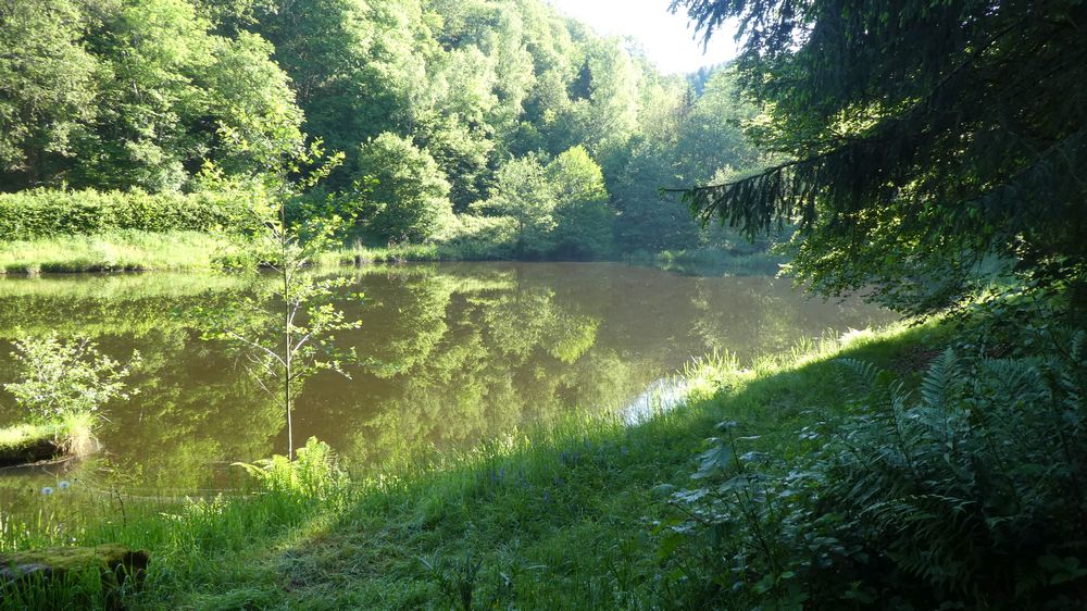 Saar Hunsrueck Steig