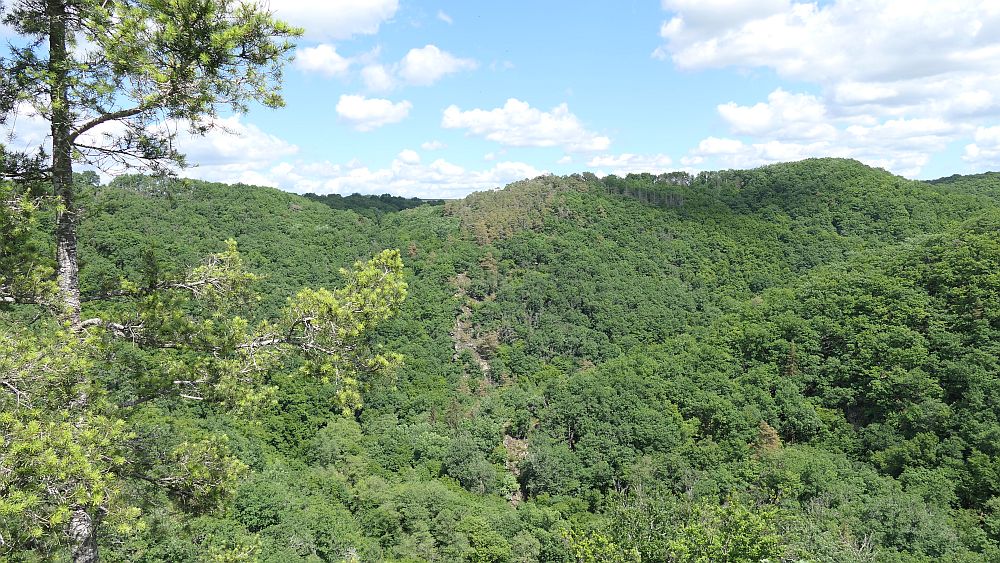 Saar Hunsrueck Steig