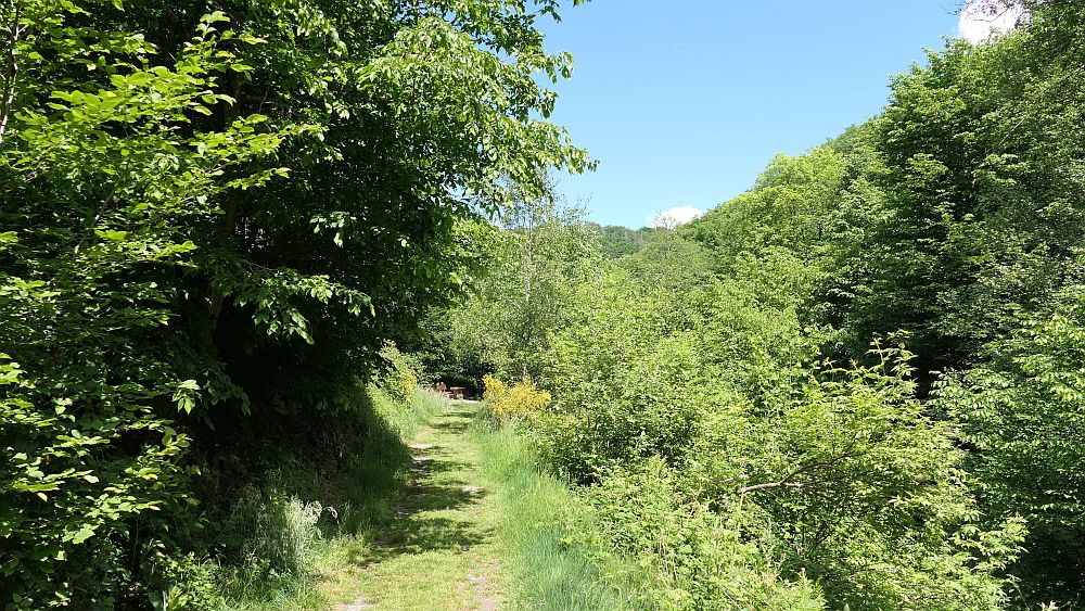Saar Hunsrueck Steig