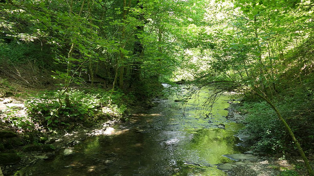 Saar Hunsrueck Steig