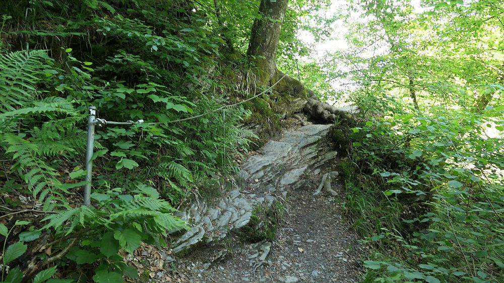 Saar Hunsrueck Steig