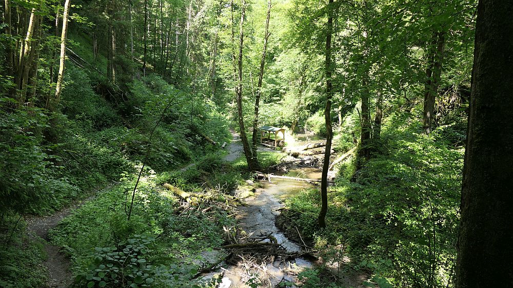 Saar Hunsrueck Steig