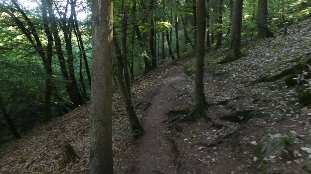 Saar Hunsrueck Steig