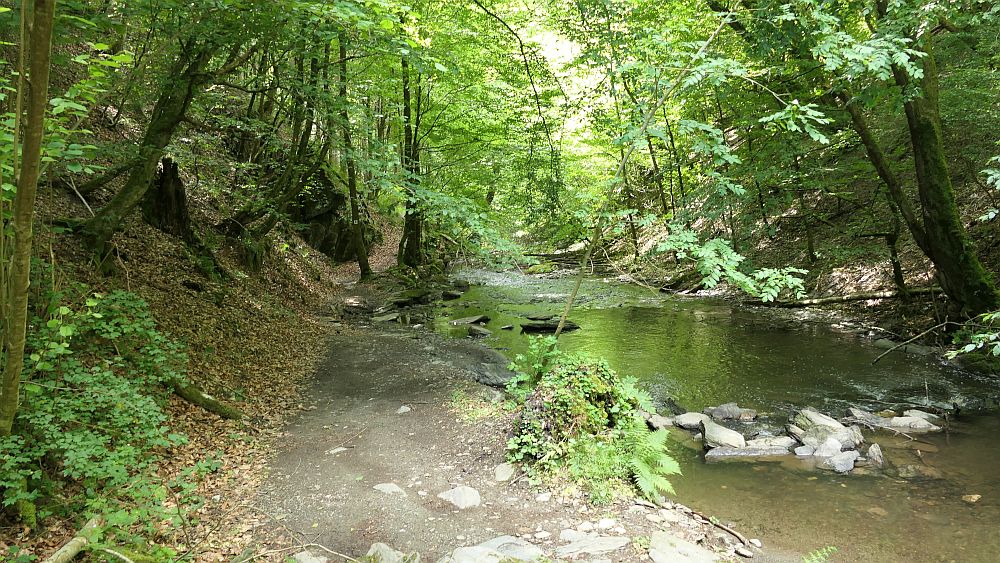Saar Hunsrueck Steig