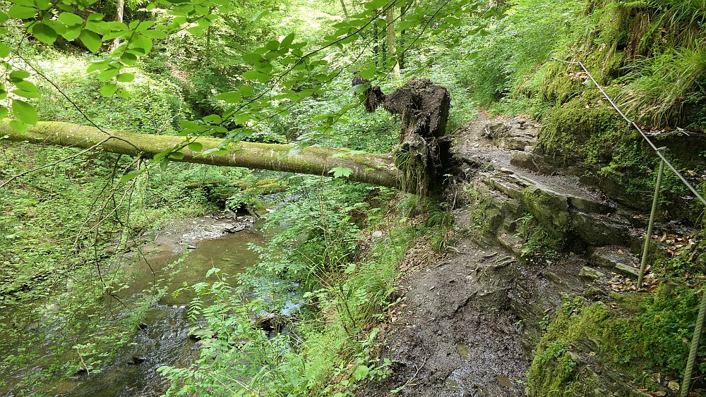 Saar Hunsrueck Steig