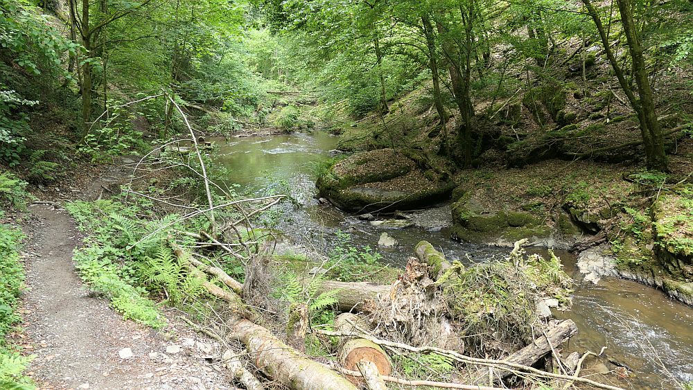Saar Hunsrueck Steig