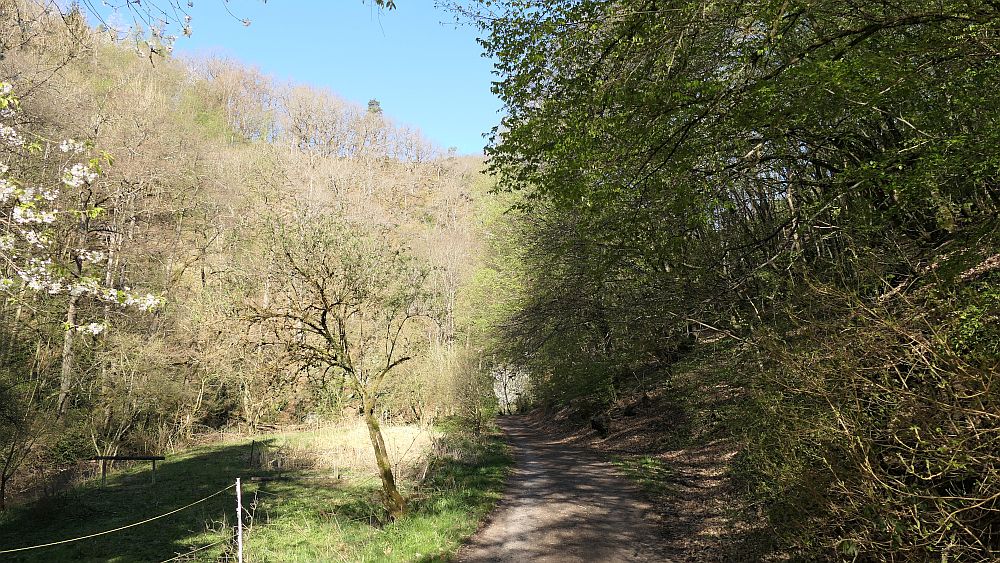 Saar Hunsrueck Steig