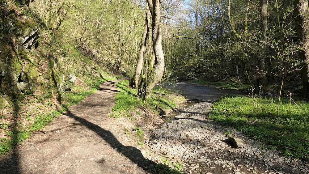 Saar Hunsrueck Steig