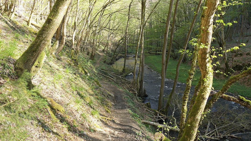 Saar Hunsrueck Steig