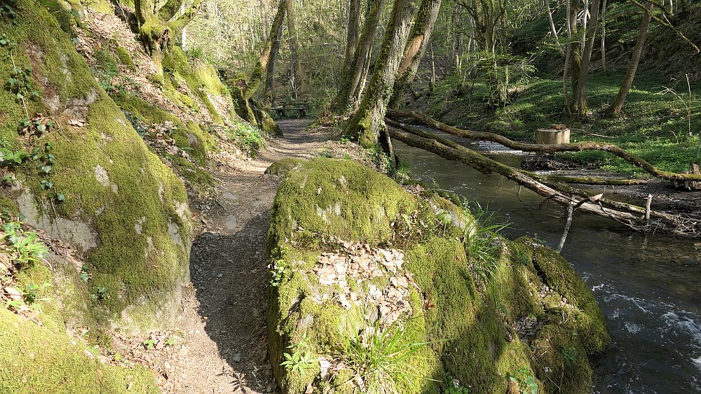Saar Hunsrueck Steig