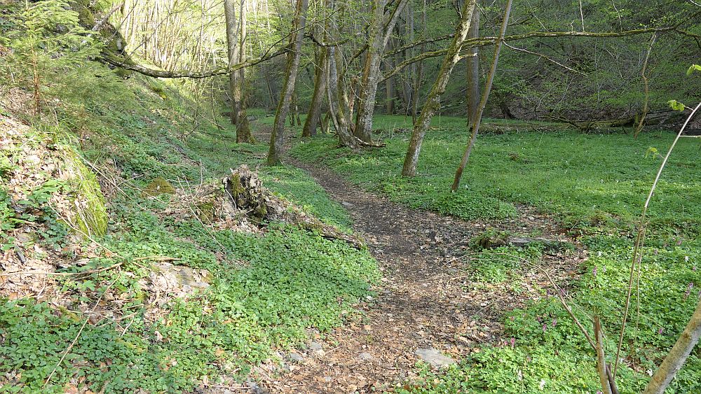 Saar Hunsrueck Steig