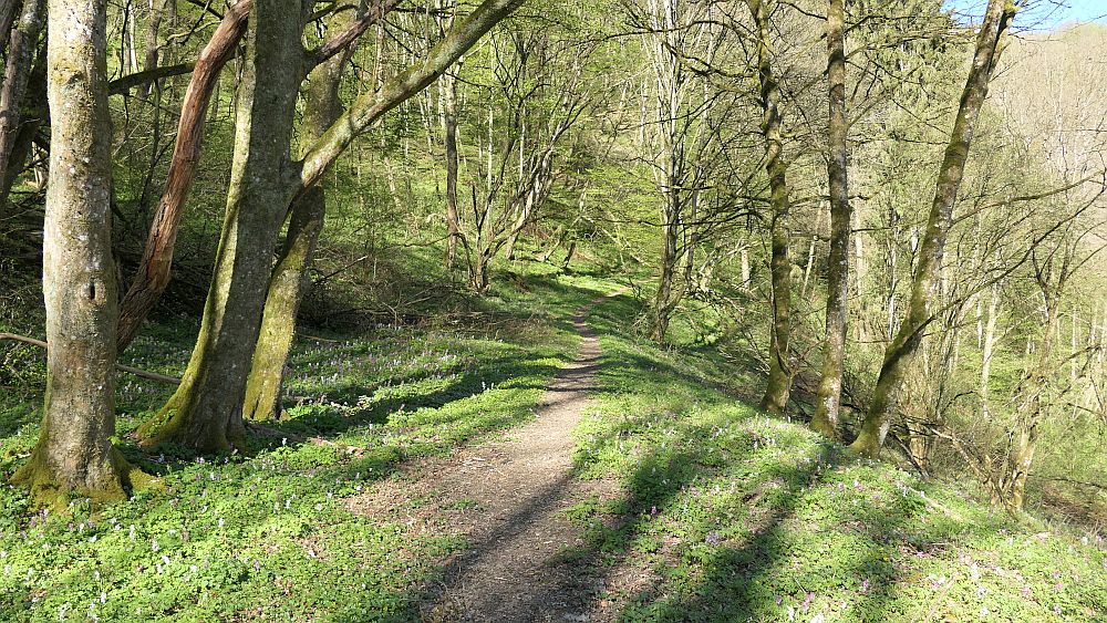 Saar Hunsrueck Steig