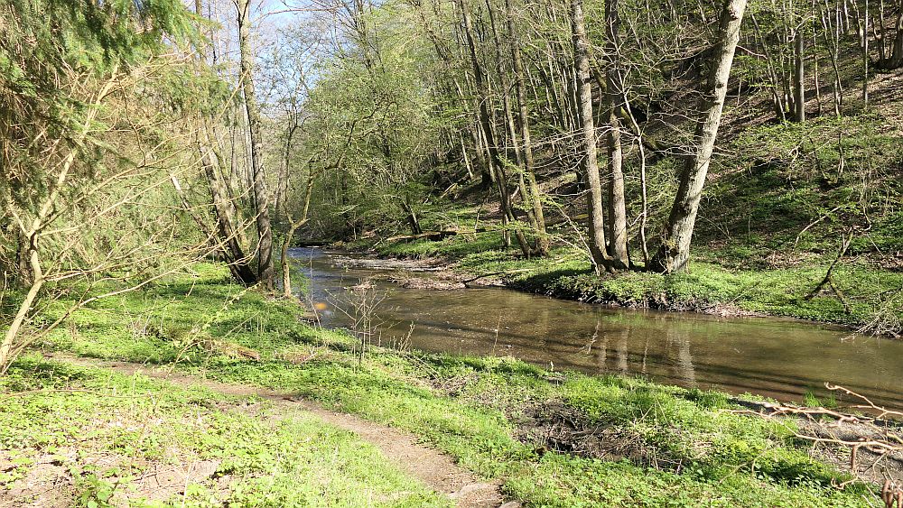 Saar Hunsrueck Steig