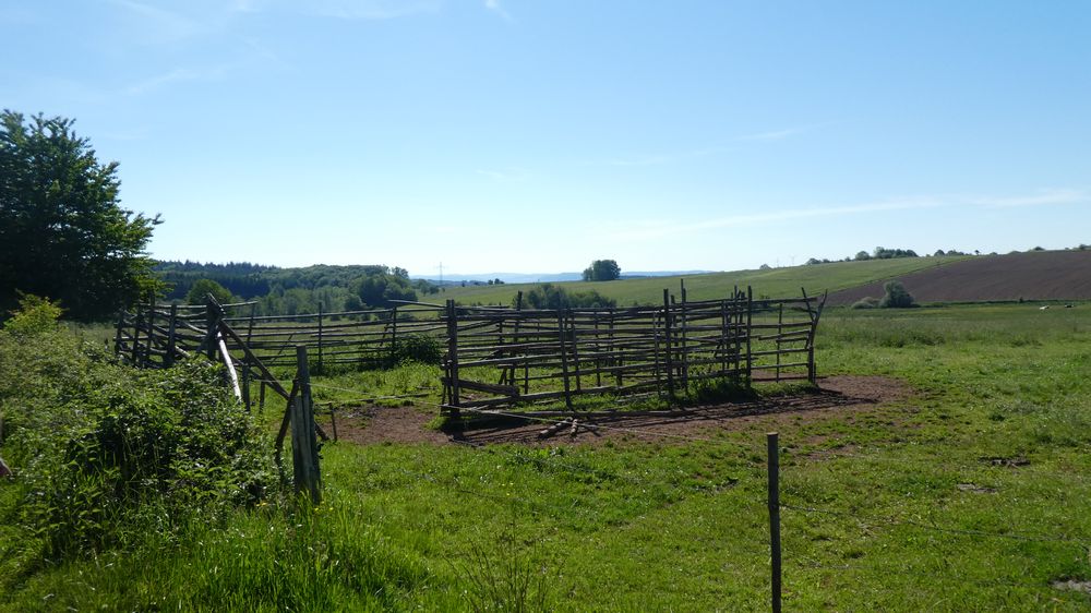 Saar Hunsrueck Steig